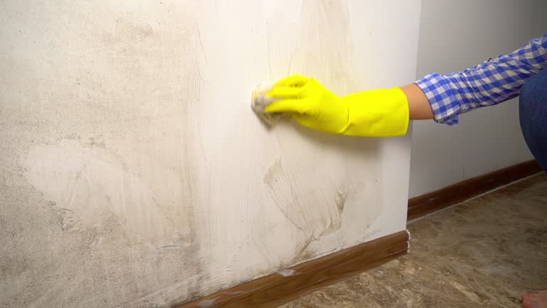 Mold Remediation for Vacation Homes in Iola, WI